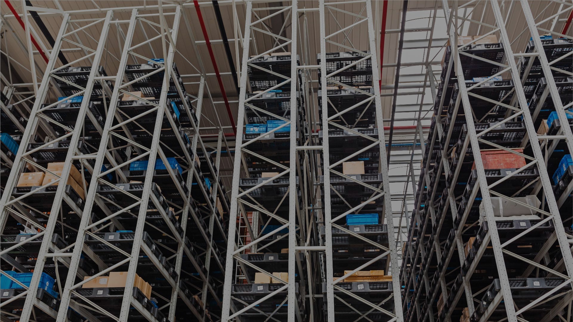 image - 2026-01-14T161130.653